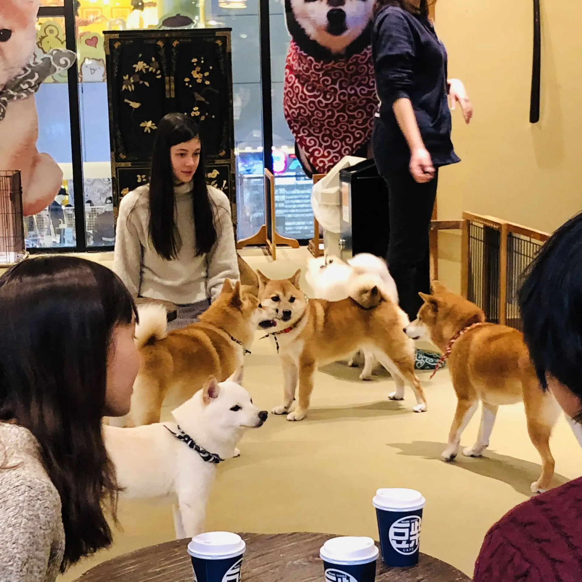 Mame-Shiba Cafe